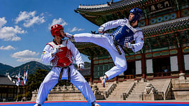 Spirit of Korea – Taekwondo in Front of the Royal Palace