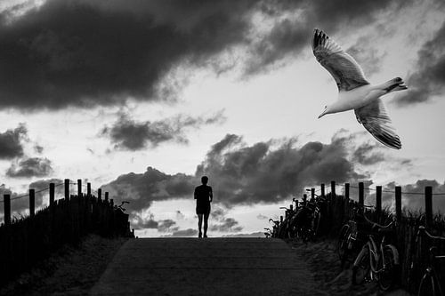 Birds 4