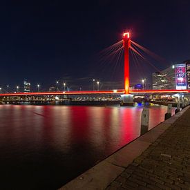 Rotterdam - Willemsbrug vanaf de Maasboulevard van Harro Jansen