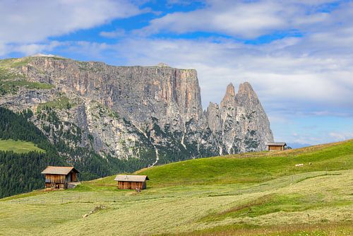 Schlern in den Dolomiten von Dirk Rüter