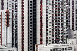 Der Bienenstock von Cho Tang