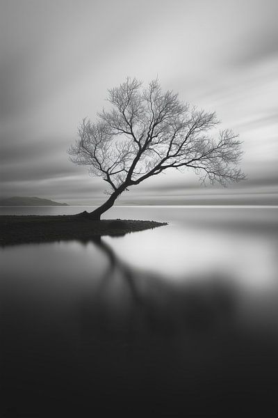 Einsamer Baum von ARTemberaubend
