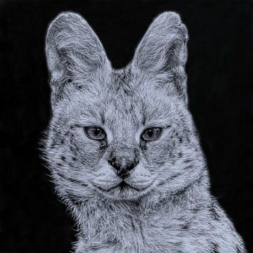 Portret van de Serval in zwart-wit etsstijl van Robert Jan Smit