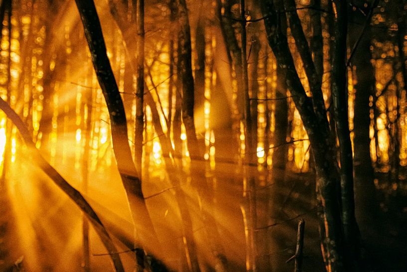 Un nouveau jour se lève par Truckpowerr