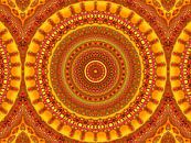 Roundabout (Ochre Retro Mandala) by Caroline Lichthart thumbnail