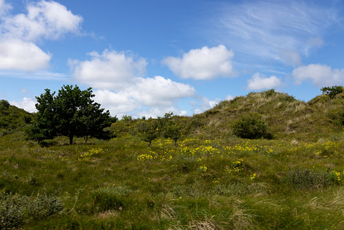 Pictures of the North Sea island of Borkum.