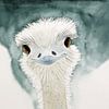 De vrolijke struisvogel (grappig aquarel schilderij houtskool dieren vogel kinderkamer babykamer) van Natalie Bruns