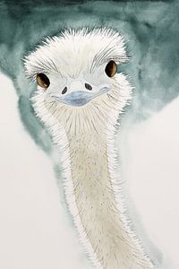 L'autruche heureuse (aquarelle amusante au fusain animaux oiseaux chambre bébé)