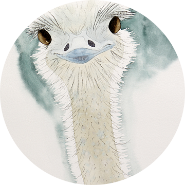De vrolijke struisvogel (grappig aquarel schilderij houtskool dieren vogel kinderkamer babykamer)