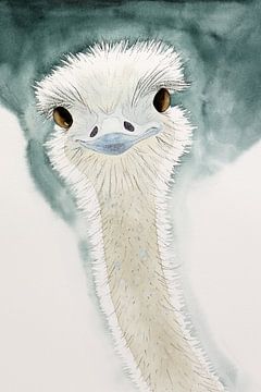 De blije struisvogel (grappig aquarel schilderij houtskool dieren vogel kinderkamer kinderboerderij) van Natalie Bruns