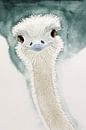De vrolijke struisvogel (grappig aquarel schilderij houtskool dieren vogel kinderkamer babykamer) van Natalie Bruns thumbnail
