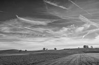 Wide open fields van Andreas Stach thumbnail