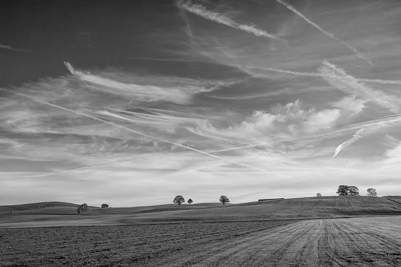 Wide open fields van Andreas Stach