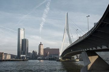 Skyline Rotterdam van Tim Vlielander