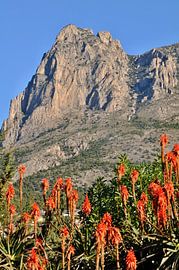 Mountains in the Alicante region by insideportugal
