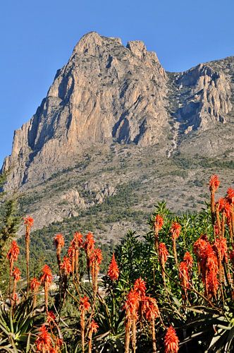 Bergen in de regio Alicante