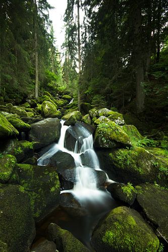 Triberg Waterfalls #1, Black Forrest, Germany