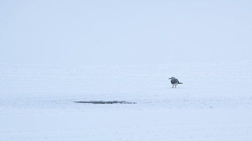 Kleine Ziel, Grote Wereld