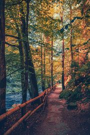 Wanderweg Spaziergang zwischen Felsen und Sandsteinen von Jakob Baranowski - Photography - Video - Photoshop