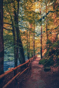 La vallée de Kirnitzschtal entre rochers et grès sur Jakob Baranowski - Photography - Video - Photoshop