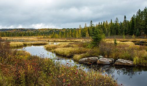 Algonquin Provincial Park in Ontario, Canada