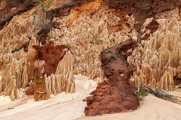 Zandsteenformaties in het Tsingy Rouge Park op Madagaskar van Reiner Conrad