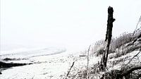 Mistig strand
