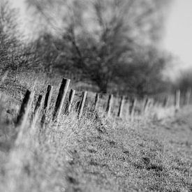 Ooijpolder in de winter | zwart-wit | Lensbaby van Gabry Zijlstra