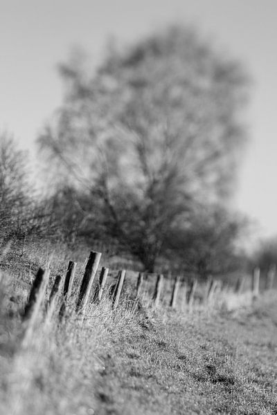Ooijpolder in winter | black and white | Lensbaby by Gabry Zijlstra