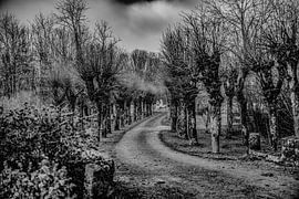 mon chemin vers la paix