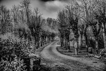 mon chemin vers la paix by anne droogsma