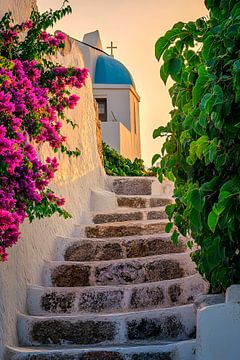 Staircase with bougainvillea by Poster Art Shop