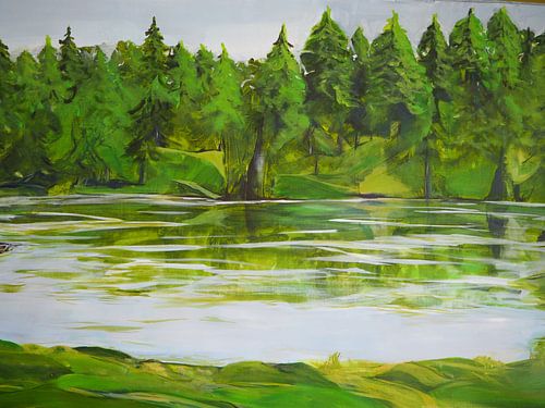 Nördlicher Schwarzwald / Wildsee