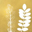 Twee witte takken op gouden achtergrond. Botanische kunst van Dina Dankers thumbnail
