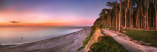 Steile kust met bos en strand aan de Oostzee in Mecklenburg Vorpommern
