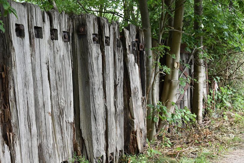 Wooden wall, landscape by Elbkind89