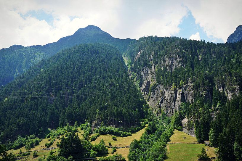 Landschap Zwitserland von Tiffany Venus