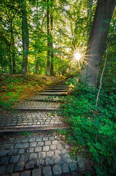 Treppe zur Sonne von Wim van D