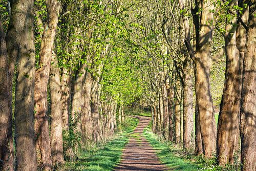 Bergisches Land, Odenthal, Germany