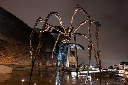 Sur le trottoir devant le musée Guggenheim à Bilbao