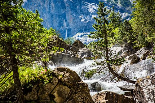 Wilder Gebirgsbach in den Alpen