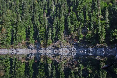 Rijke groene sparrenboswand aan de oever van een bergmeer, de bomen worden gereflecteerd in het wate