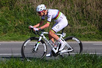 Tadej Pogacar world champion at the Tour of Flanders by FreddyFinn