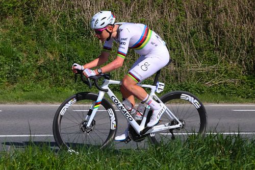 Tadej Pogacar wereldkampioen in de Ronde van Vlaanderen van FreddyFinn