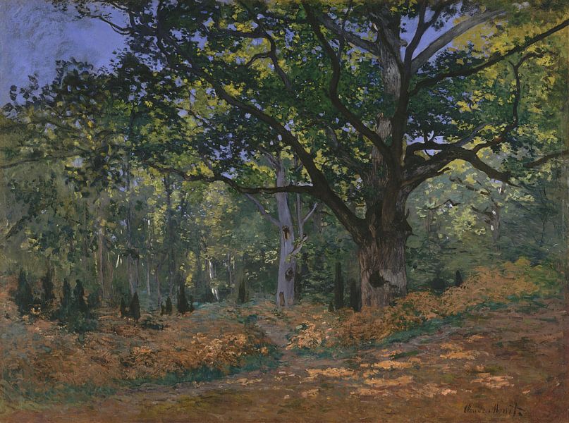 Die Bodmer Eiche, Wald von Fontainebleau, Claude Monet von Meisterhafte Meister