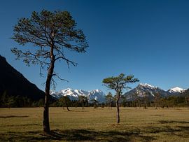 View to the Zugspitze between Oberau and Farchant by Andreas Müller