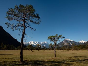 Blick zur Zugspitze zwischen Oberau und Farchant