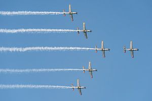 Team Orlik of the Polish Air Force