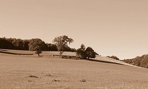 Limburger Landschaft in Sepia