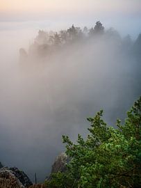 Saksisch Zwitserland in de mist